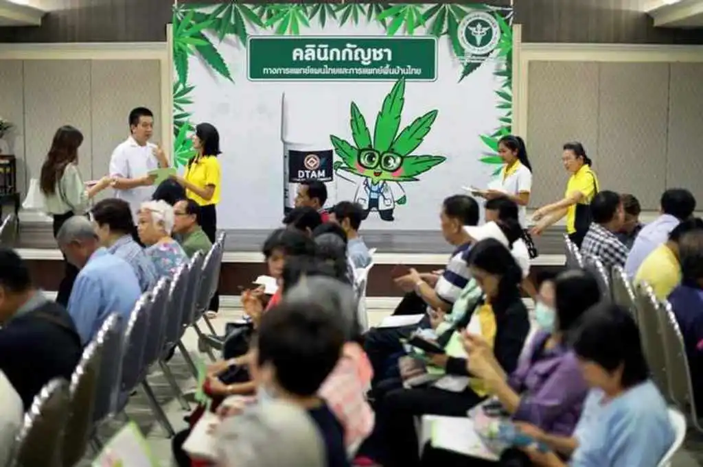 Thailand Pushes to Open More Free Cannabis CBD Oil Clinics