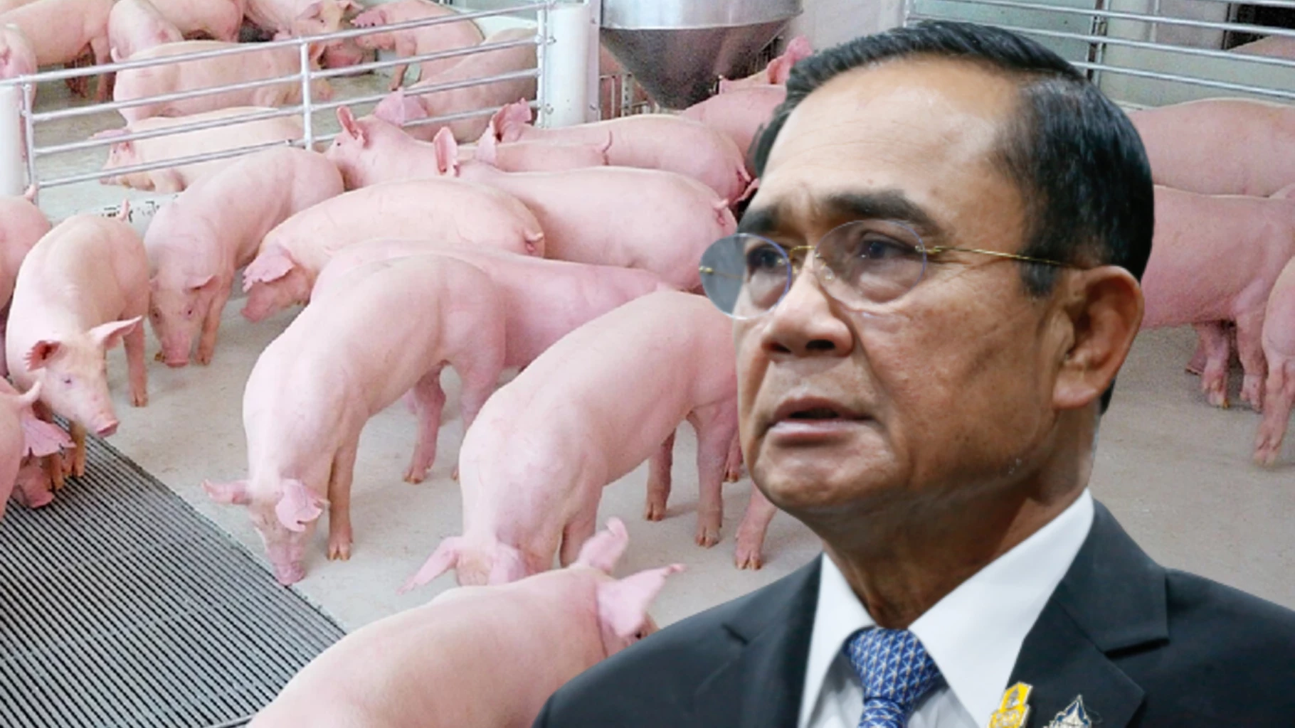 Behind the Scenes Meddling Blamed for High Prices of Pork