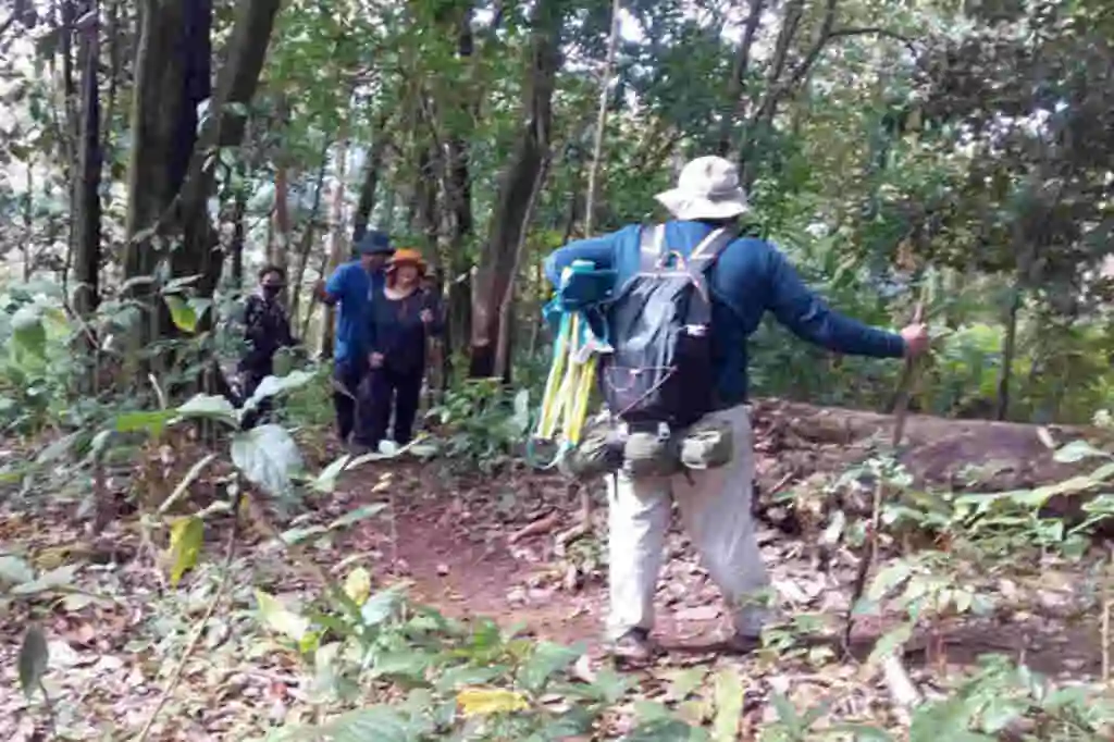 Couple Camping at Wildlife Sanctuary Attacked by Wild Elephants