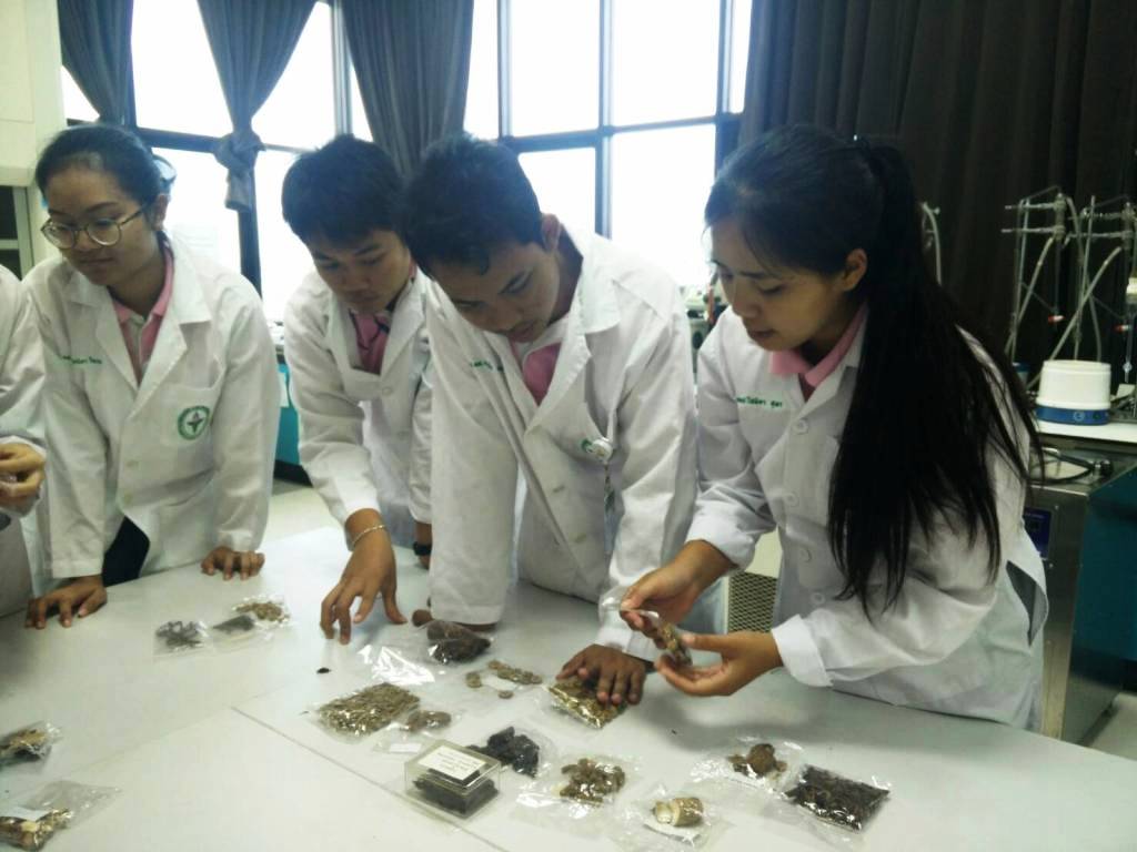 Thailand Treats Long Covid with Alternative Traditional Medicine