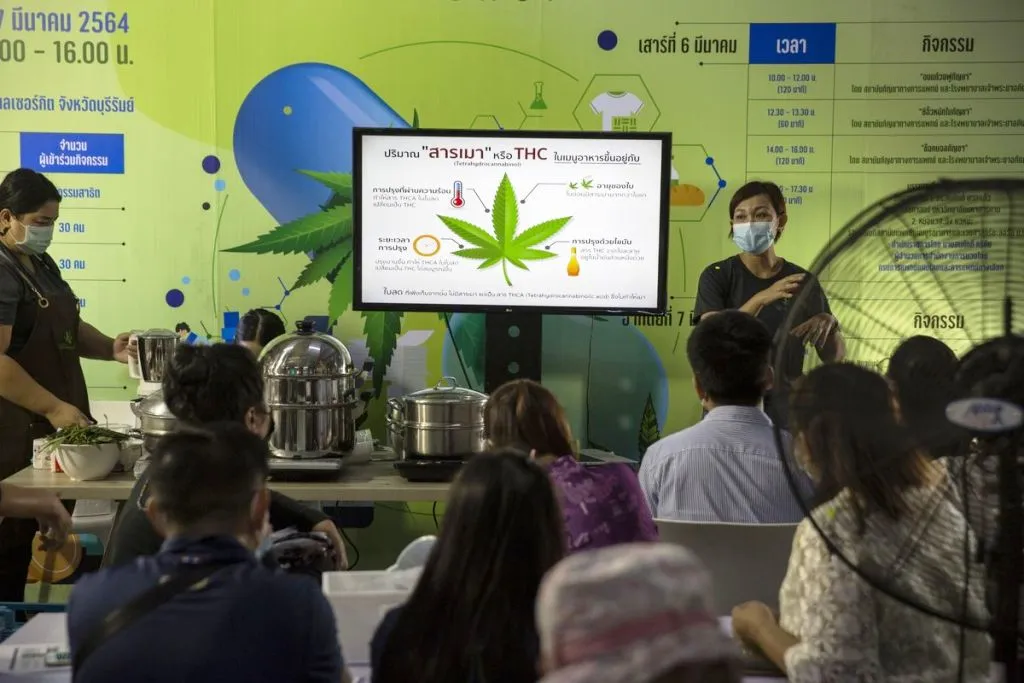 Thailand to Promote Cannabis 101 Handbook to Farmers