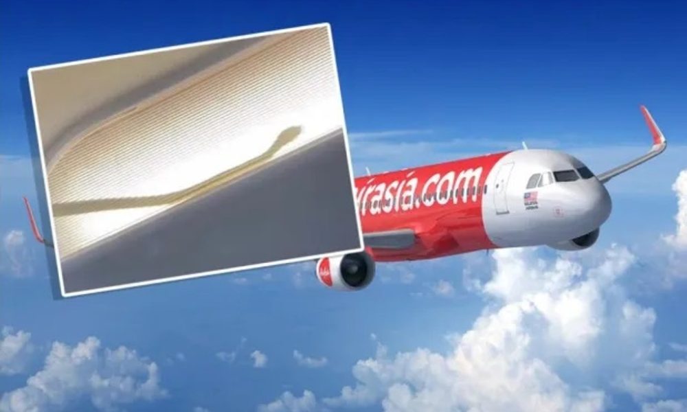 bizarre....  - Page 14 AirAsia-Diverts-Flight-After-Snake-Discovered-in-Cabin-1000x600