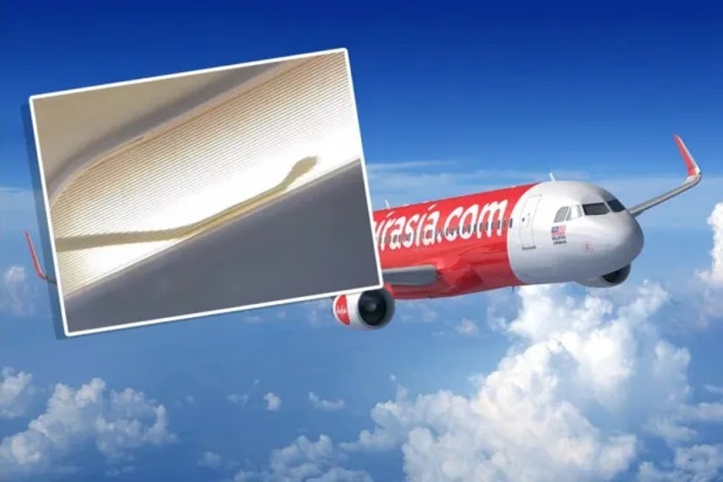 AirAsia Diverts Flight After Snake Discovered in Cabin