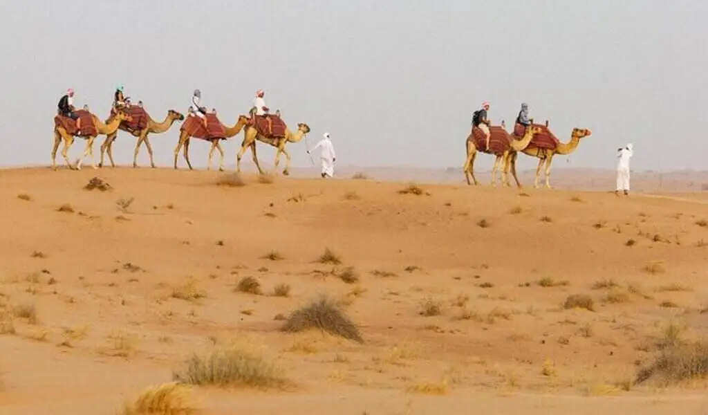 Dubai Desert Safari