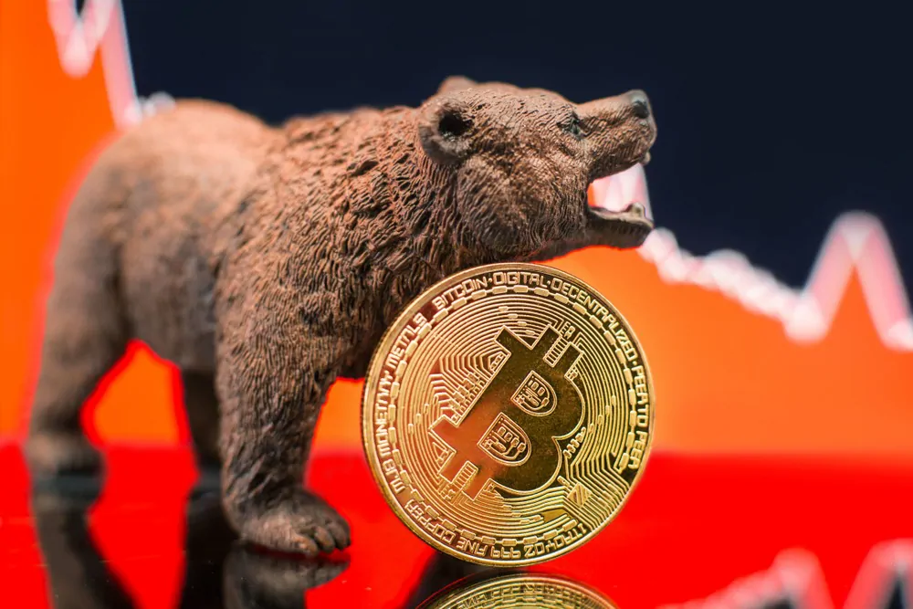 Investing in the Crypto Bear Market: 5 Things You Should Know