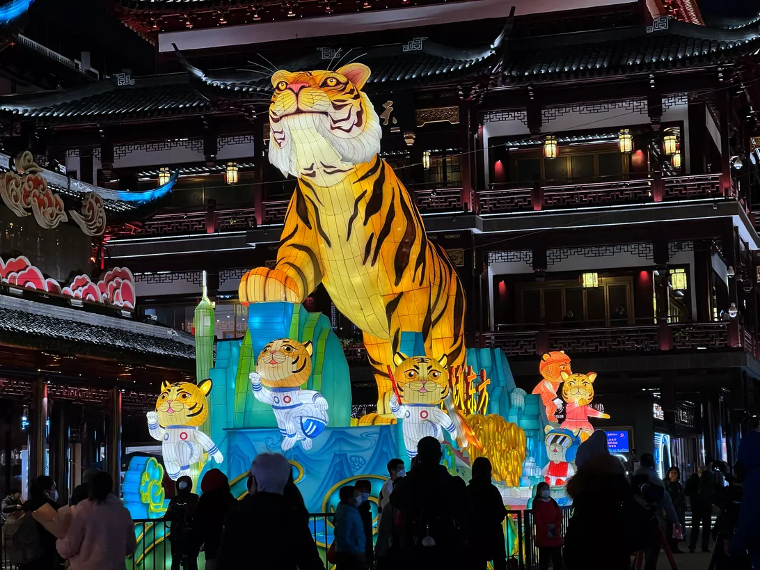 Lunar New Year of the Tiger What Does it Hold For You?