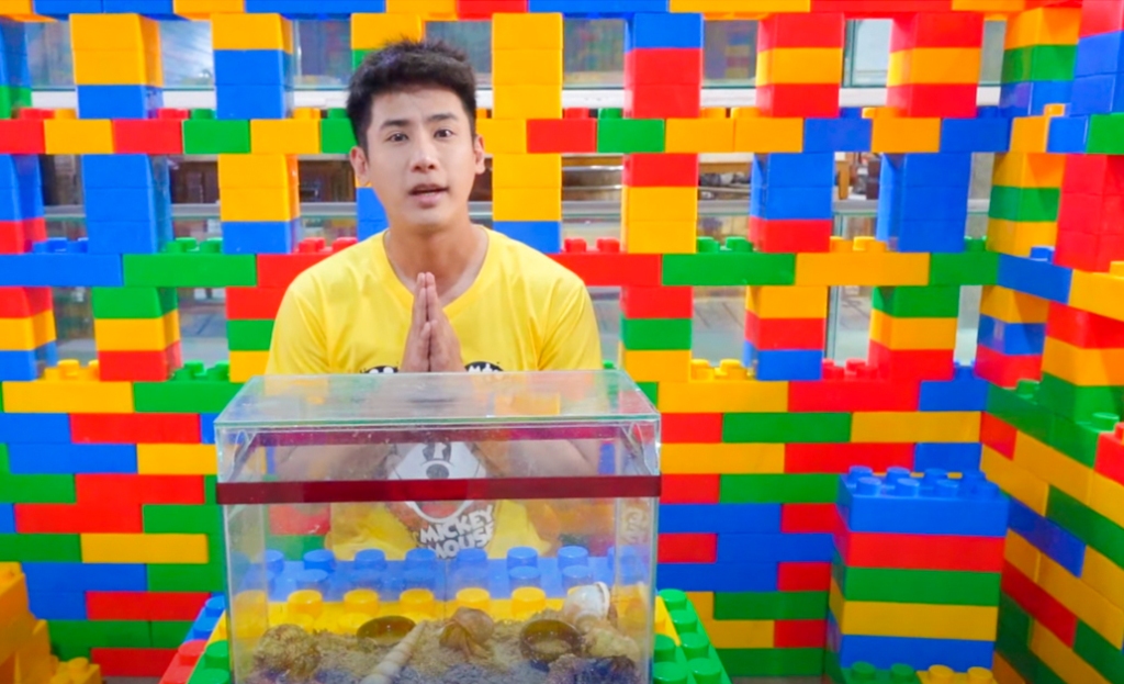 Top YouTube Influence Apologizes for Removing Hermit Crabs from Natural Environment