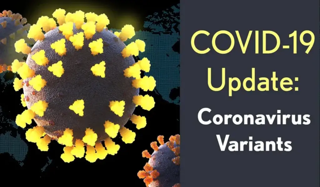 COVID 19 Update Coronavirus Variants