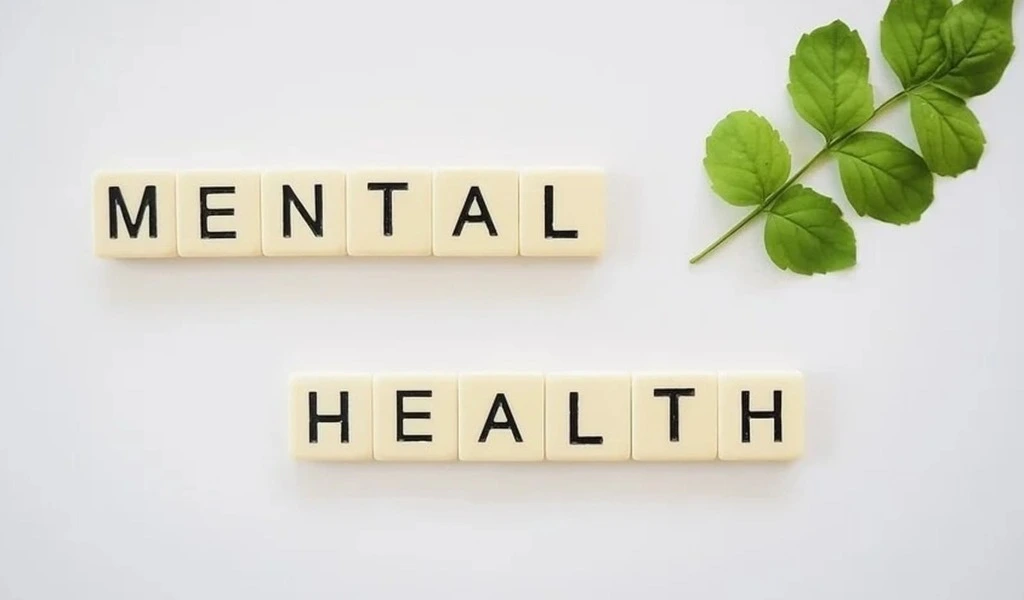 Mental Health Case Management System