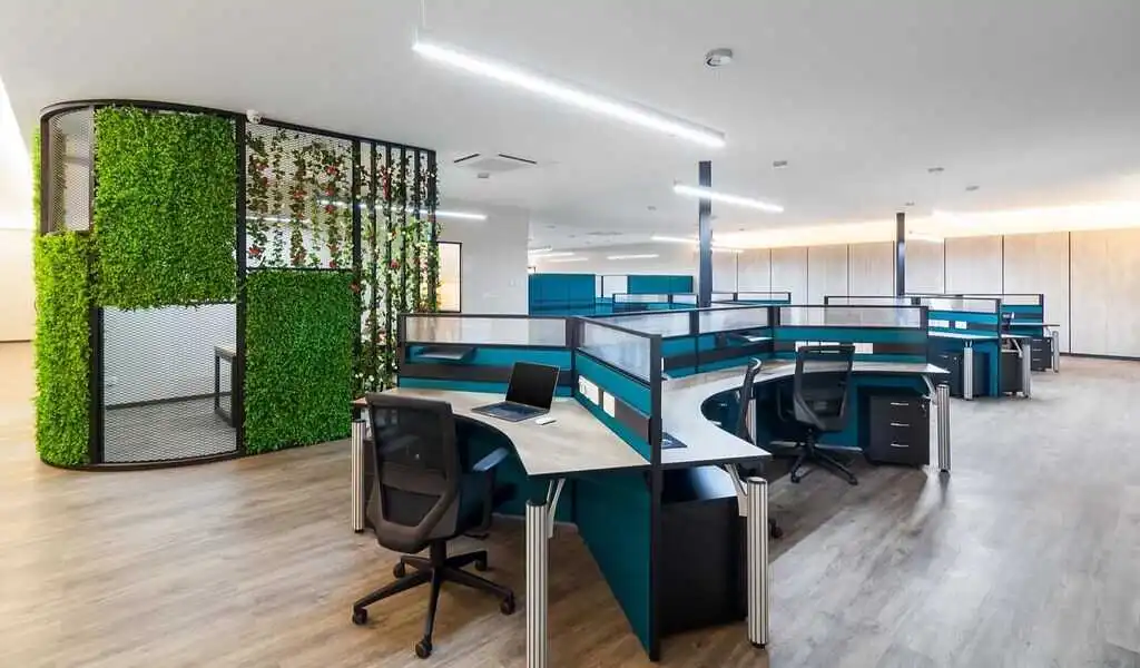 Ways To Find The Best Office Renovation Contractor CTN News