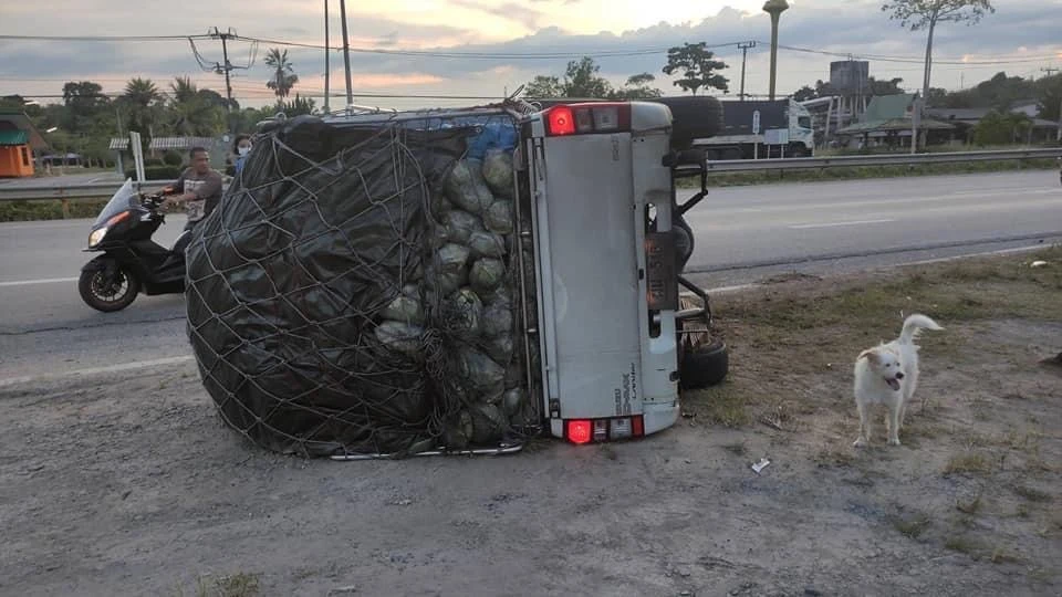 Police Stumble Upon 220Kg of Crystal Meth After Pickup Crashes