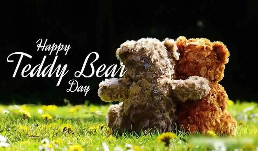 teddy bear gift