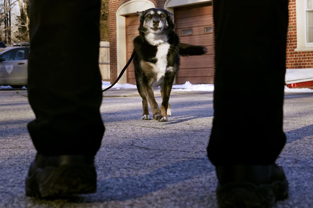 K-9 Ruby Featured in Netflix’s ‘Rescued by Ruby’ Has Died