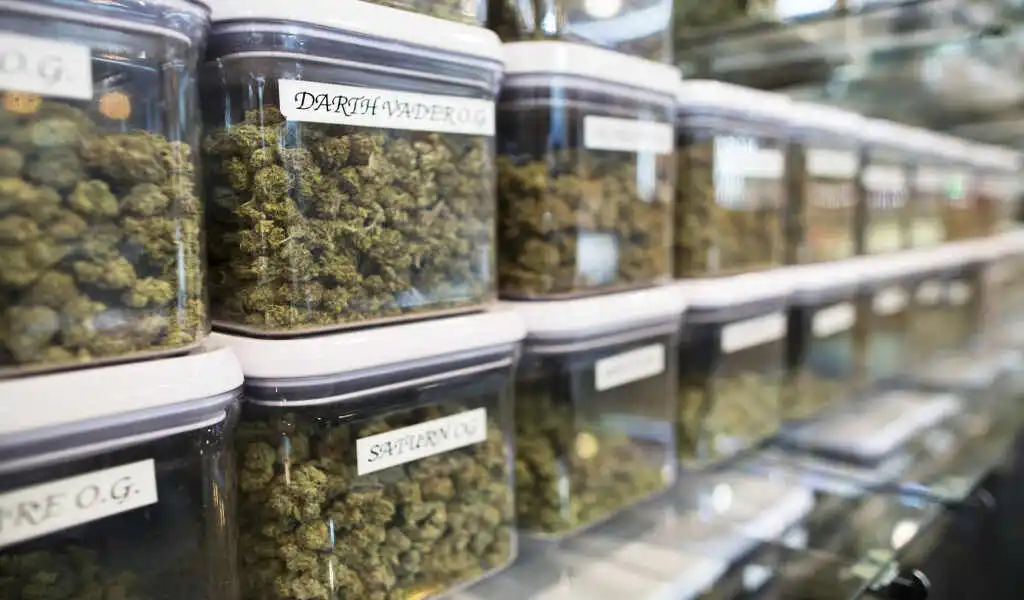 Marijuana Dispensary Head Shop Owners Press Release