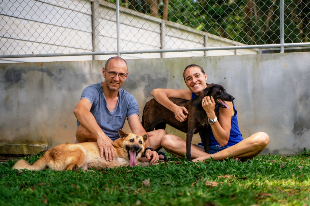 Soi Dog Foundation Calls for Tougher Enforcement of Dog and Cat Breeding Farms Welfare Laws in Thailand