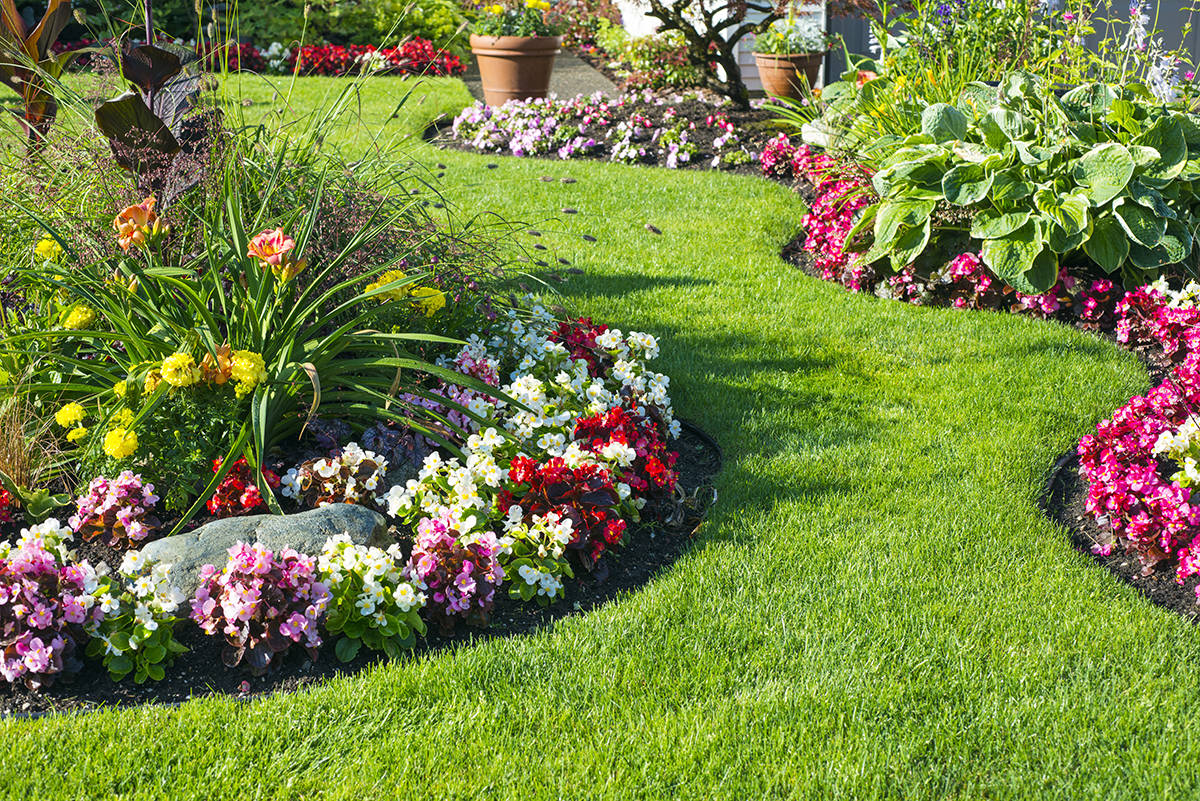 5 Creative Garden Design Ideas For Your Home