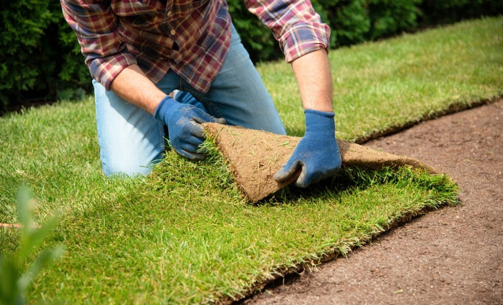 4 Tips on Laying Turf Like a Professional