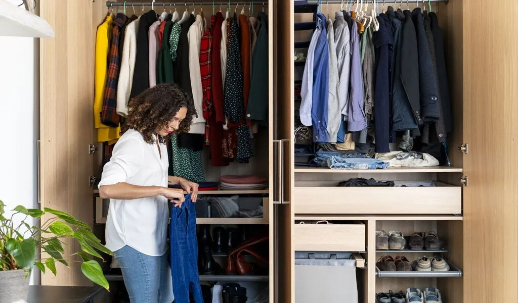 5 Popular Types of Closet Organizers