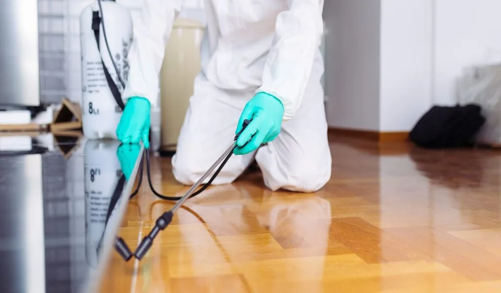 5 Reasons You Need a Pest Control For Your Property