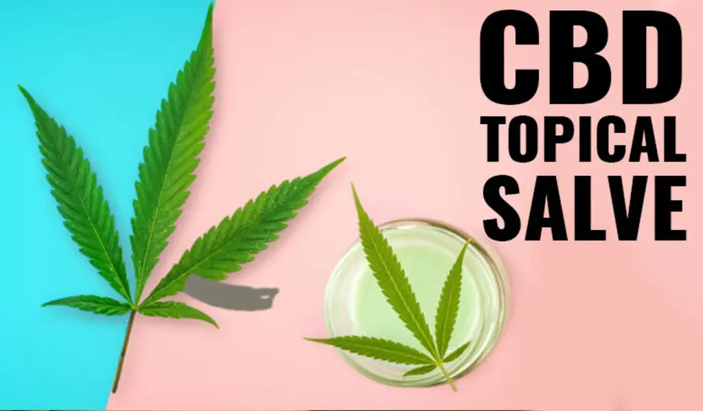 CBD Salve: How To Choose The Right One