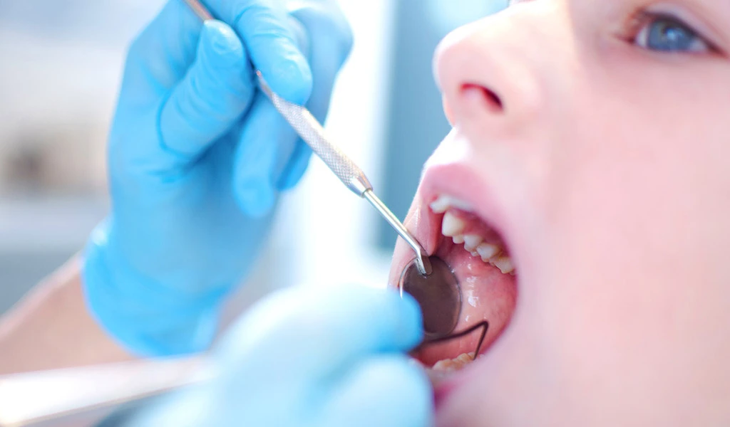 Dentists Prevent Cavities and Gum Disease While Providing Clean, Healthy Teeth and Gums