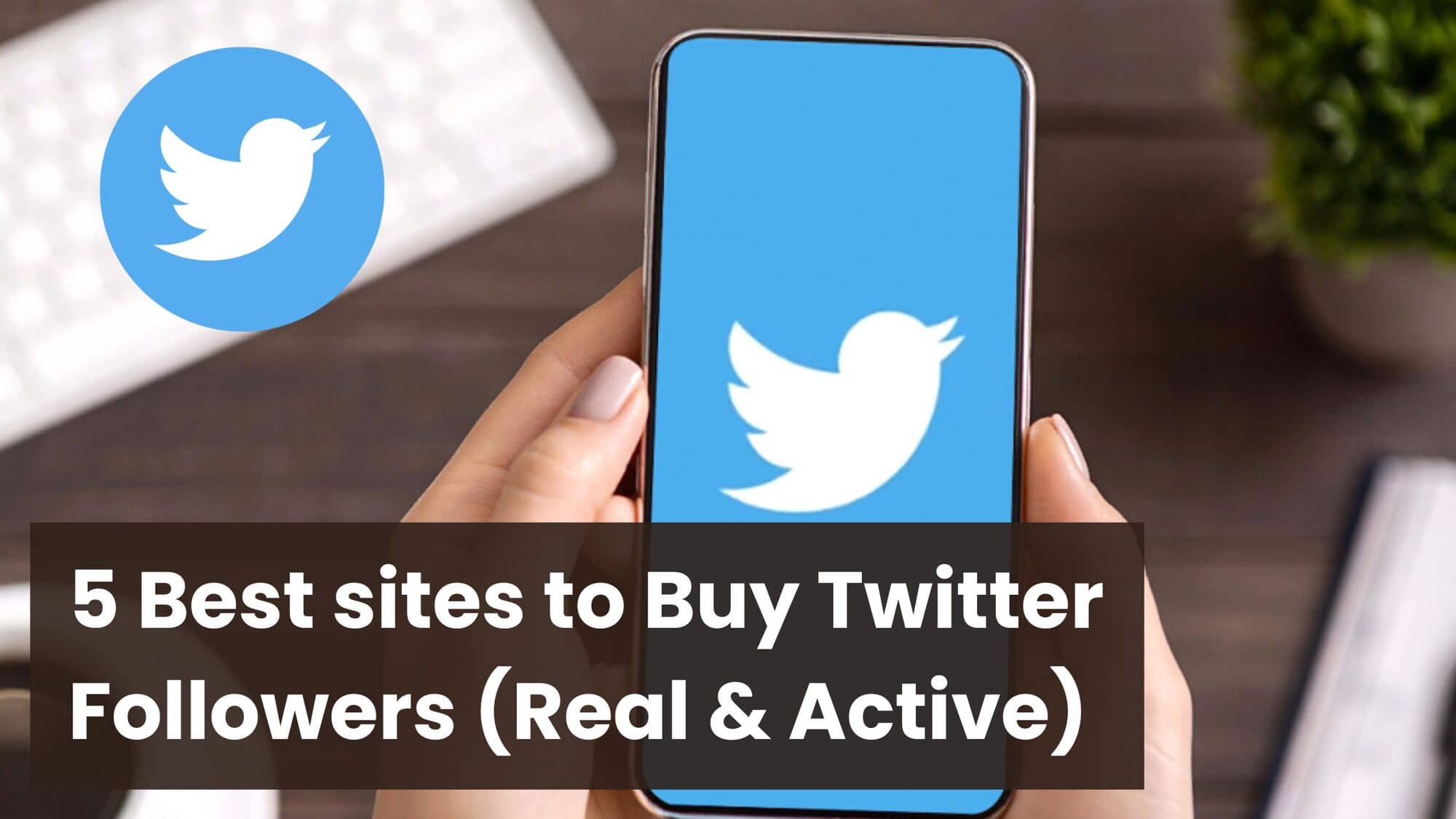 Best Sites to Buy Twitter Followers