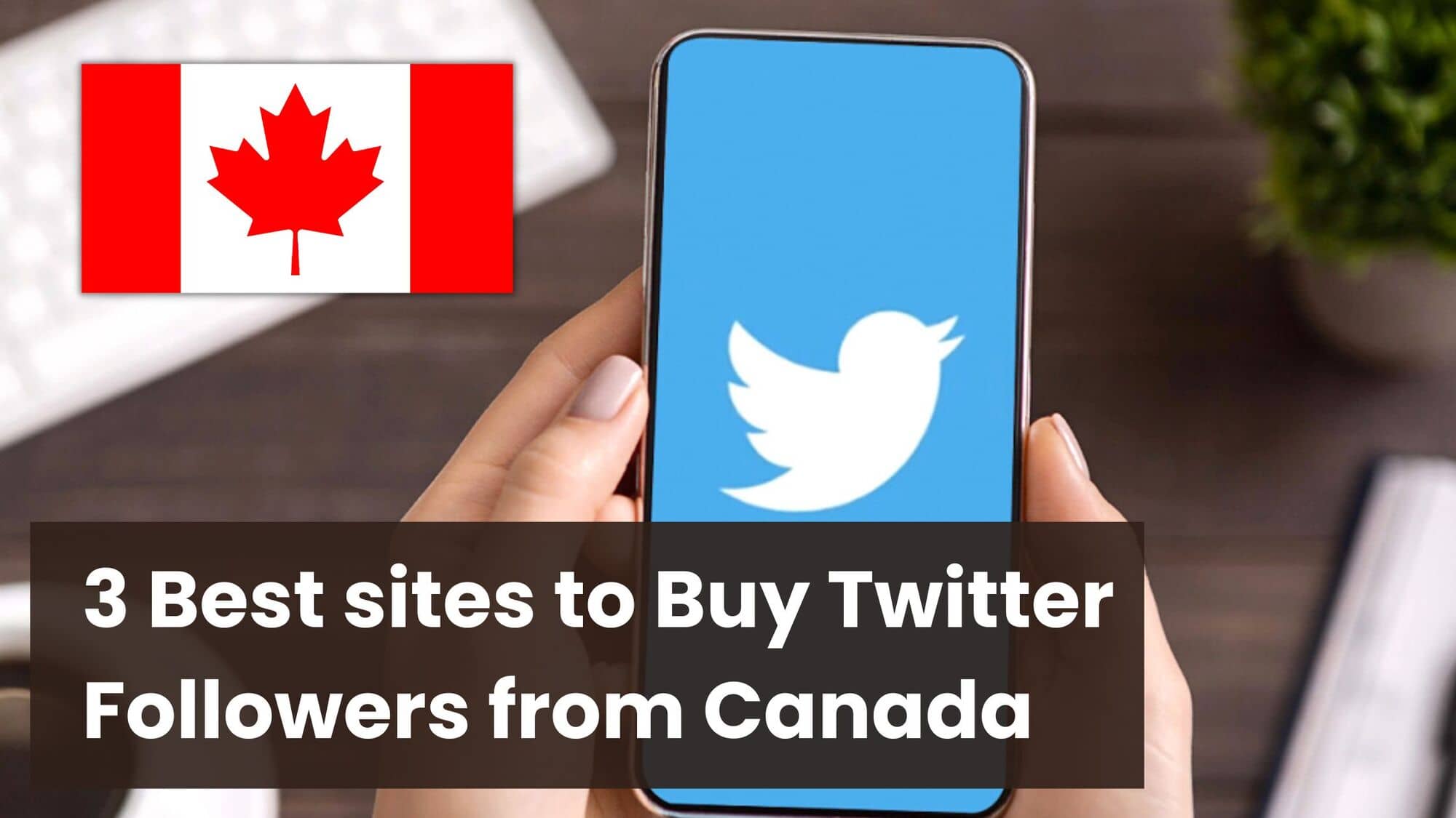 3 Best sites to Buy Twitter Followers Canada (Active & Real)