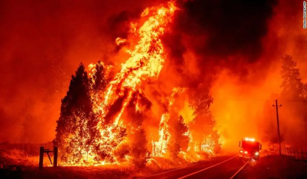 Oak Fire A Wildfire Near Yosemite National Park Declared An Emergency