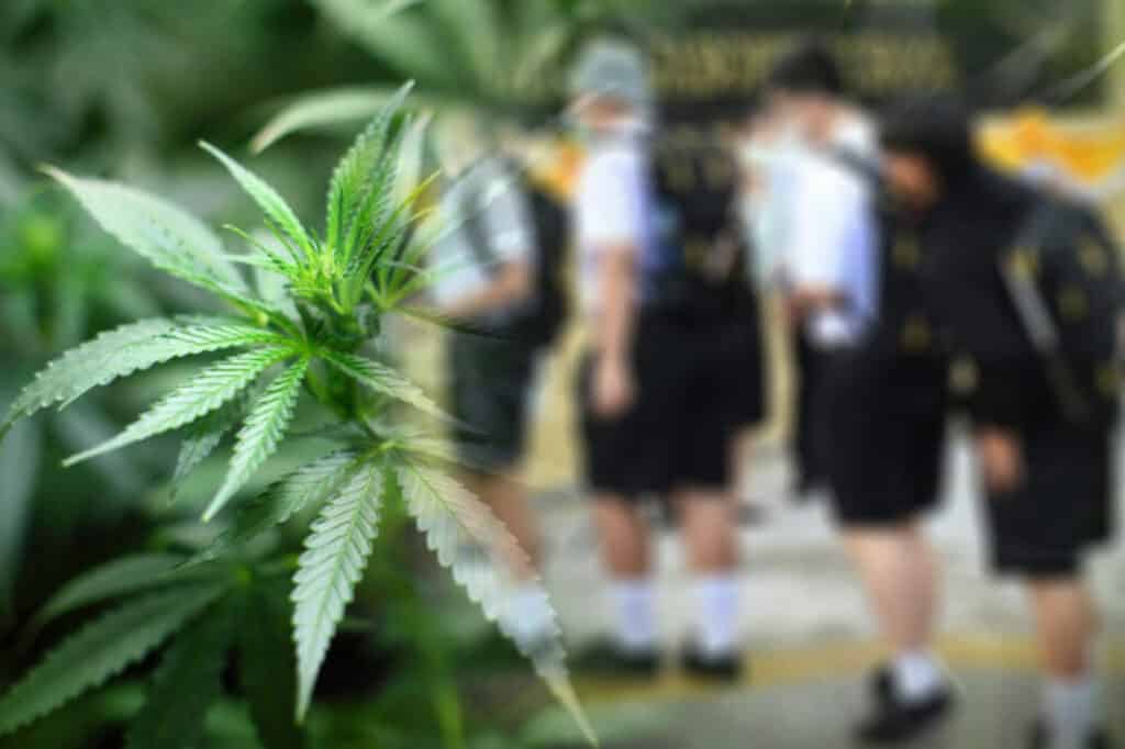 School Investigated after Grade 12 Student Caught Selling Weed