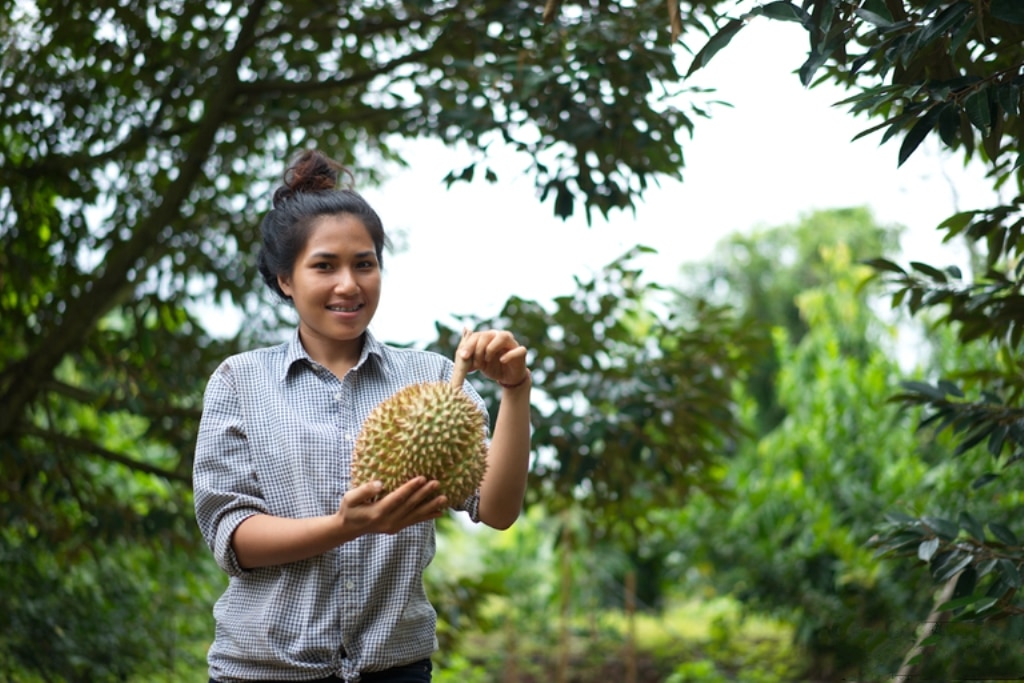 Thailand Creates New "Non-Smelly" Durian