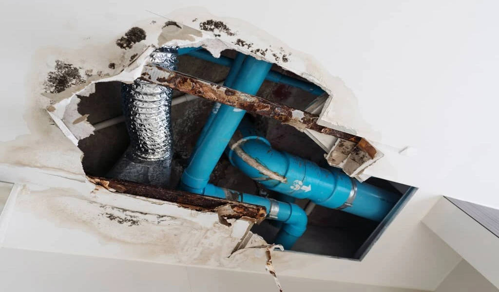 The Most Common Building Code Violations And How To Fix Them CTN News
