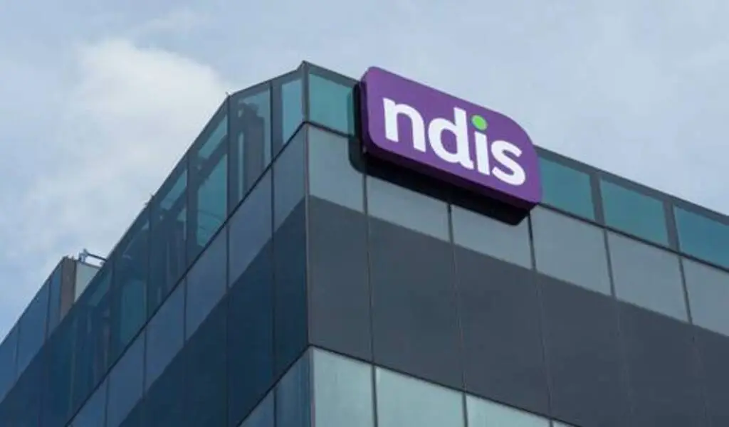 What is NDIS? And How Does It Work?