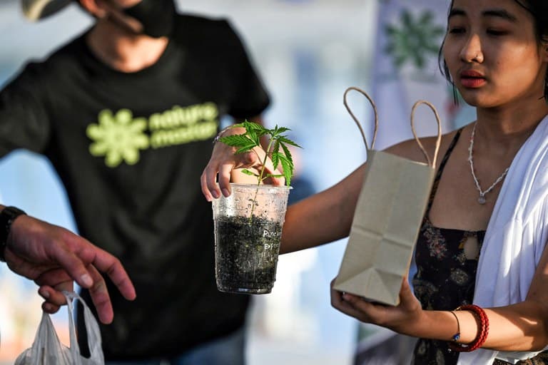 Thailand's New Weed Bill Defines Legal Marijuana Use