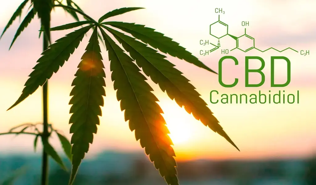 A Quick Guide To CBD: Benefits, Legality, Usage and Dosage