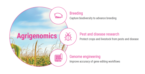 Agrigenomics Agriculture