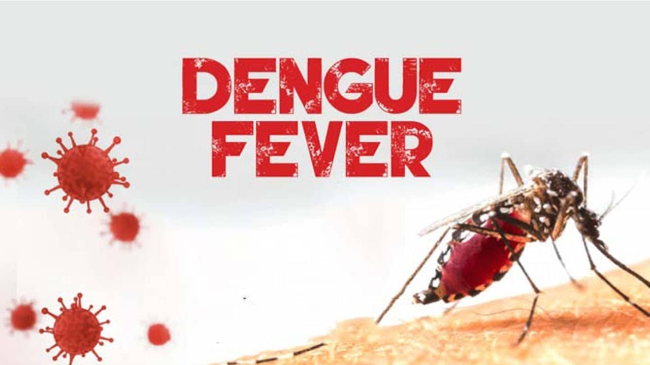 Thailand Issues Dengue Fever Warning as Cases Top 16,000