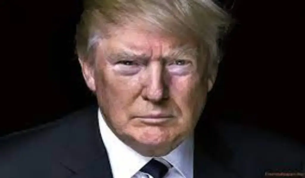 Donald Trump Invokes The 5Th Amendment And Declines To Answer 156 Donald Trump Invokes The 5th Amendment And Declines To Answer