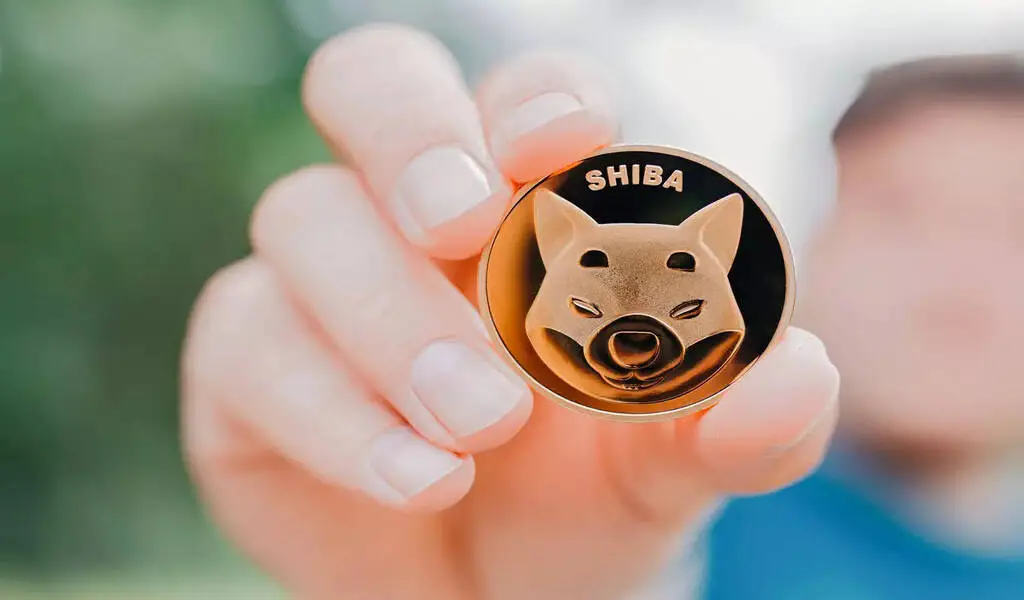 Will Shiba Inu Coin Reach $1 In 2022?