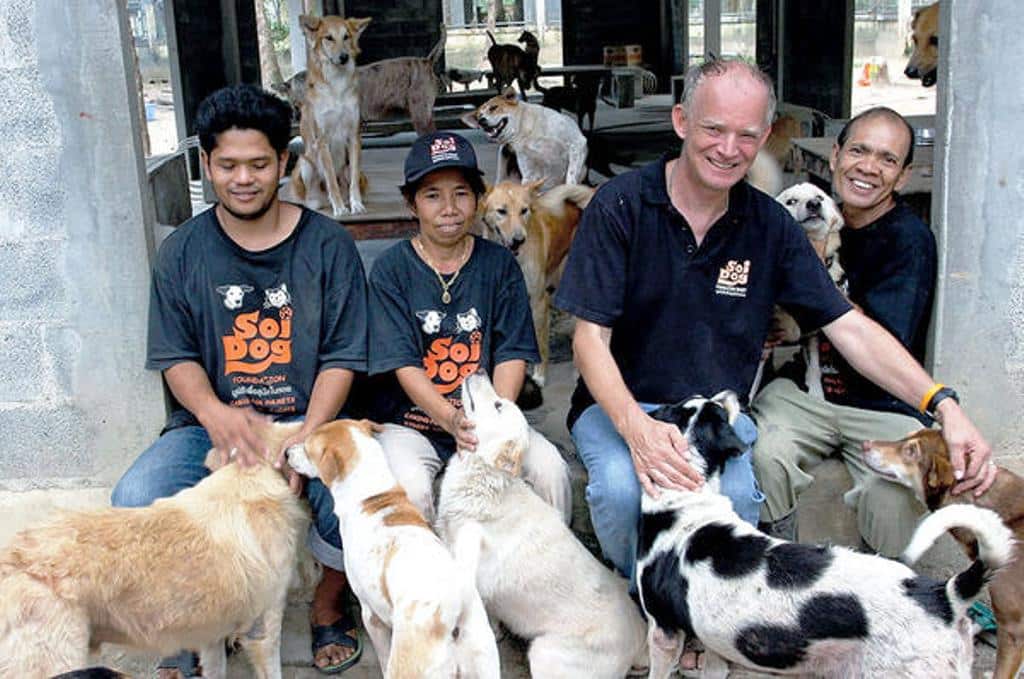 the Soi Dog Foundation