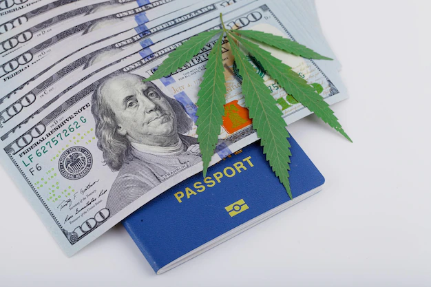 Thailand'S Health Minister Says Weed Smoking Tourist Not Welcome 162 Thailand's Health Minister Says Weed Smoking Tourist Not Welcome
