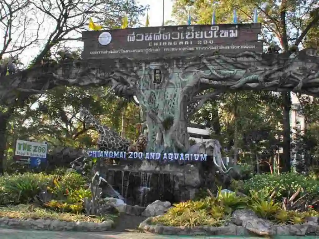 Twitter Users Accuse Chiang Mai Zoo of Neglecting Animals