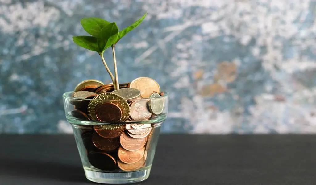 5 Money-Saving Financial Tips For Students