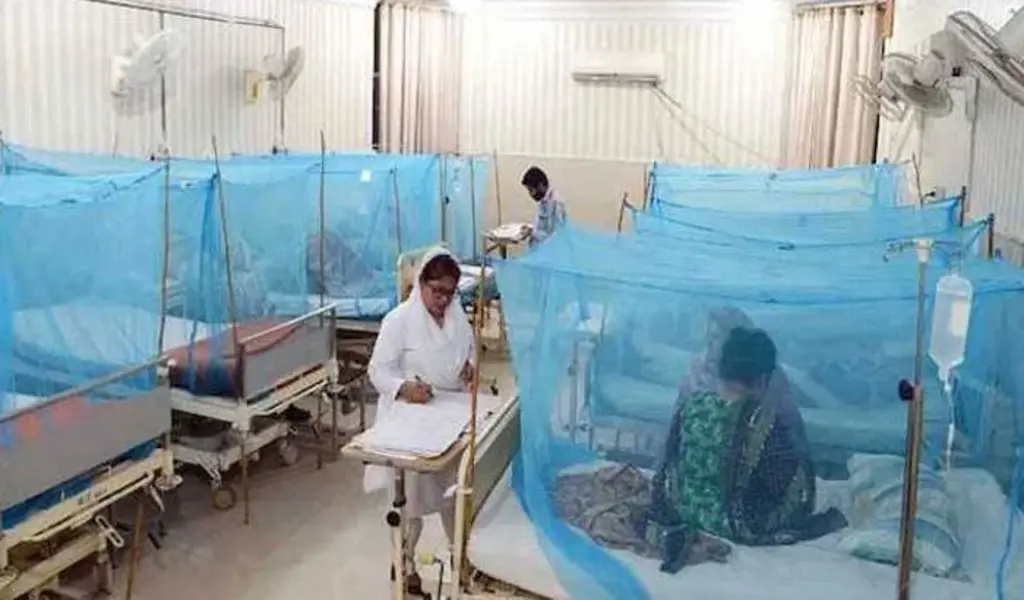 Dengue Outbreak Out Of Control Across Pakistan, Over 2,000 New Cases