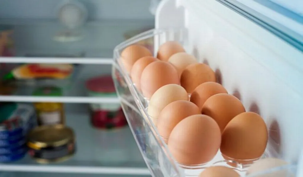 Freezing Eggs Can Save You Money