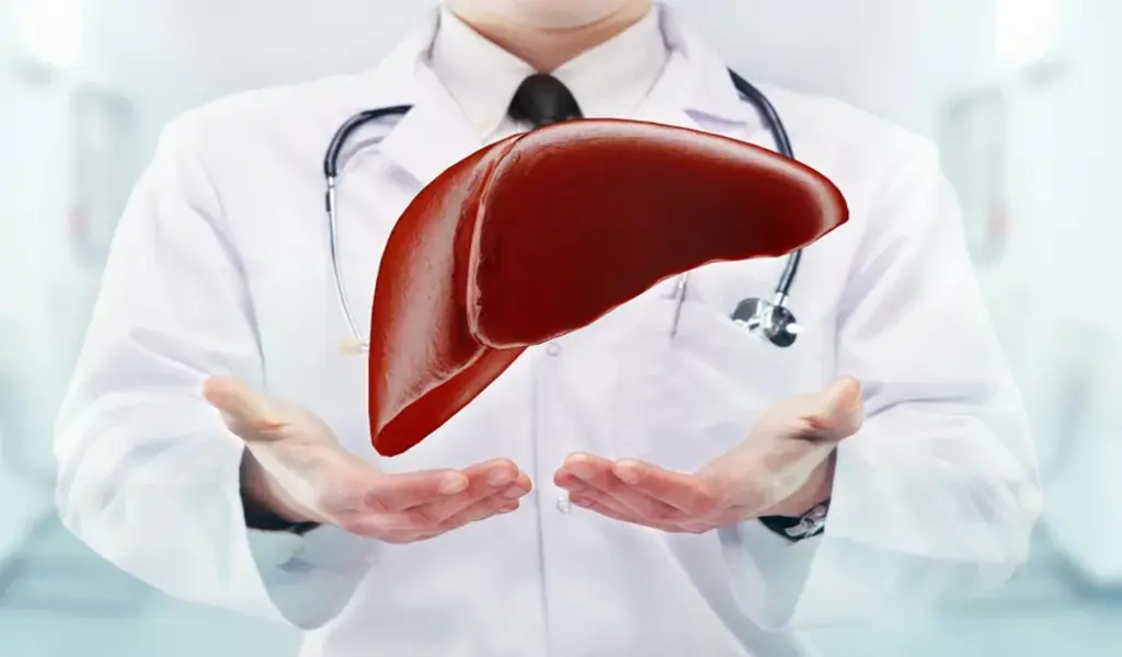 A study shows that liver transplants to someone in need is safe and lifesaving