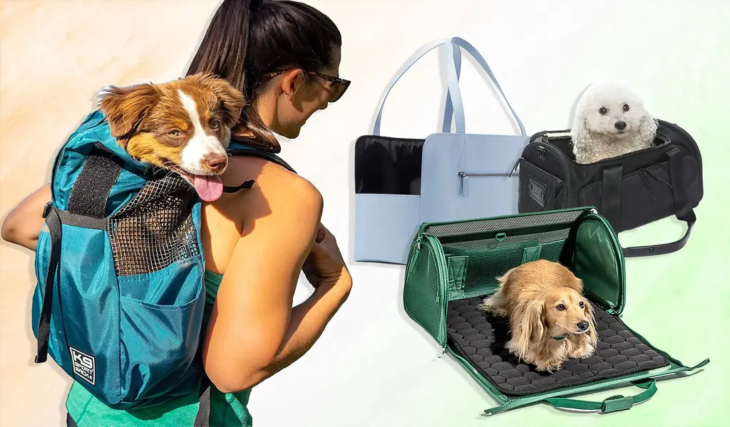 What Is the Best Type Of Pet Carrier for Your Furry Friend?