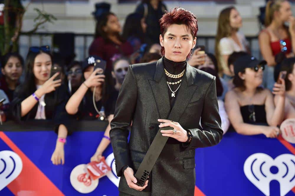Chinese-Canadian Pop Star Kris Wu Jailed for 13 Years in China