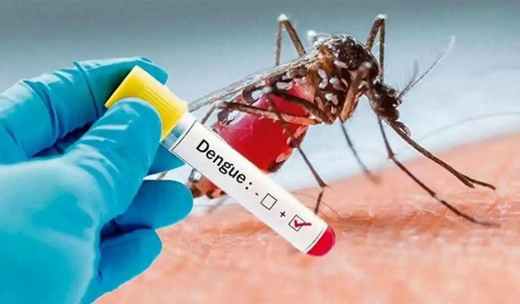 Dengue Virus Kills 5 More People In Bangladesh, Hospitalizes 873 Others