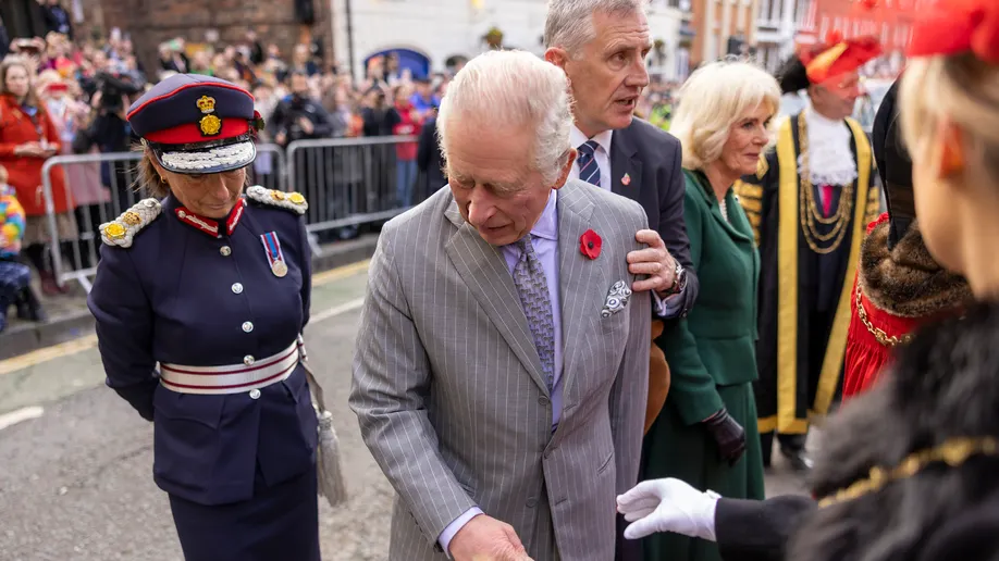 23-year-old Protester Arrested for Throwing Eggs at King Charles III