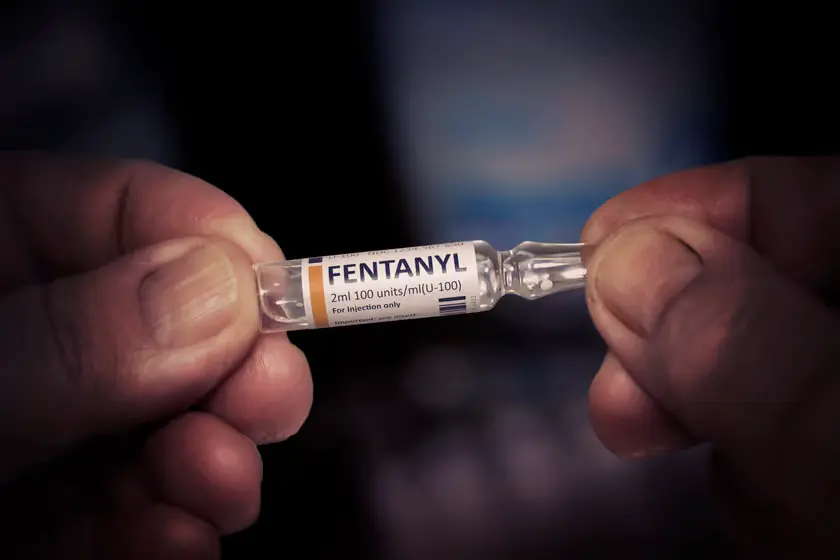 Fentanyl 'Vaccine' Inhibits The Brain's Absorption Of The Drug 'Opioid'